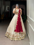 HIYANDUKAN Embroidered Semi Stitched Lehenga Choli